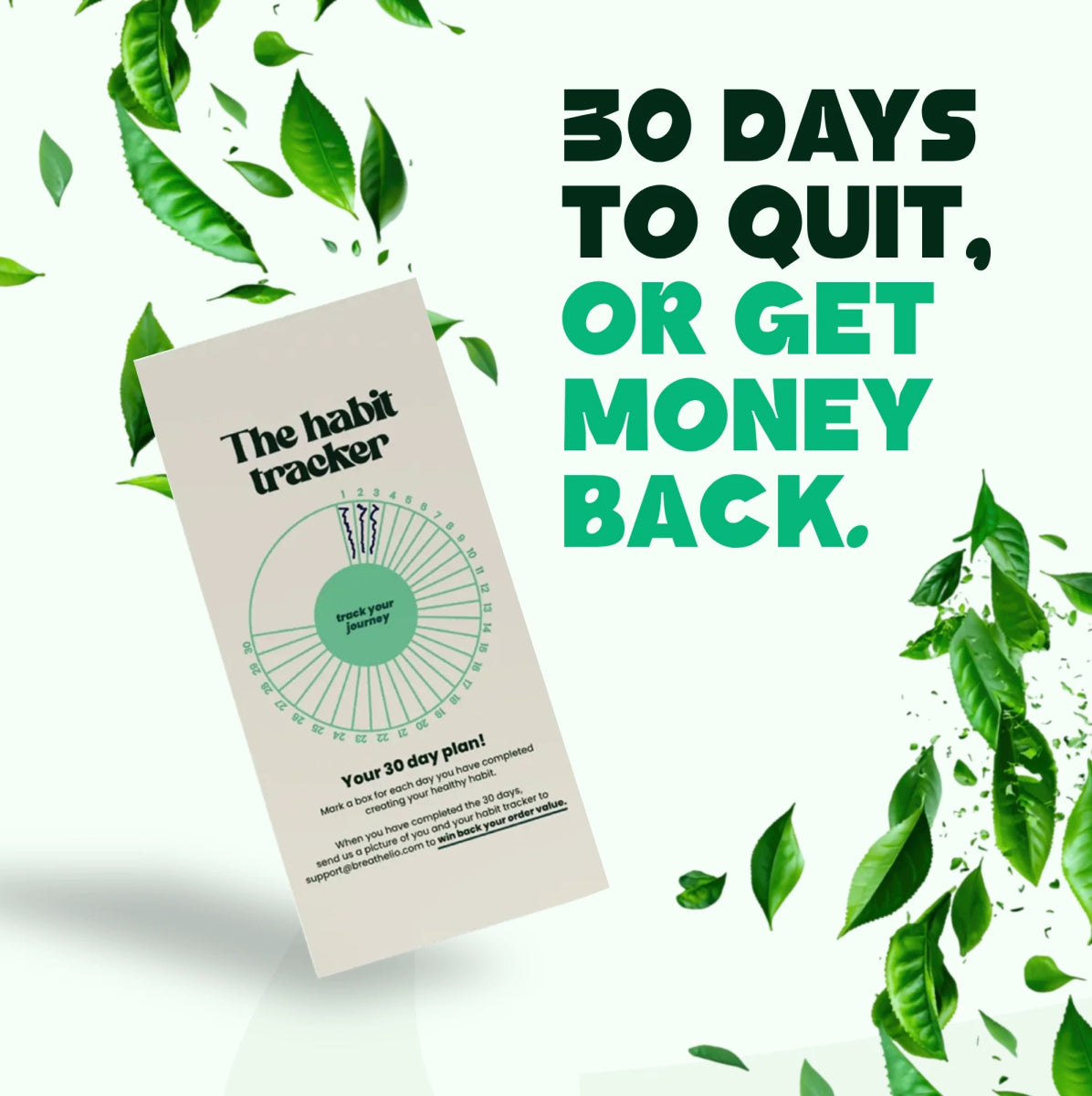 Lio® Everything Pack (51% OFF)